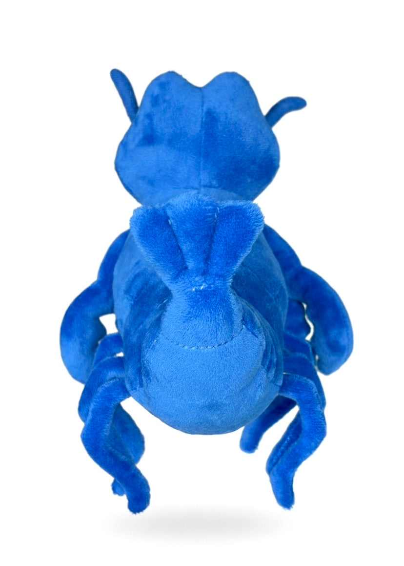 DROPPING 8/22 AT 4PM EST Blue The Crawfish Plush 💙